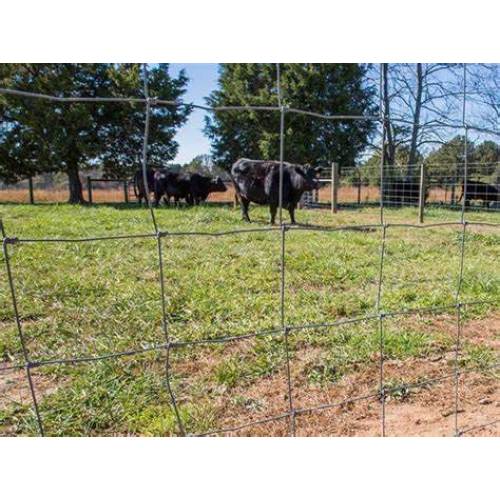 Filo per recinzione anticorrosione