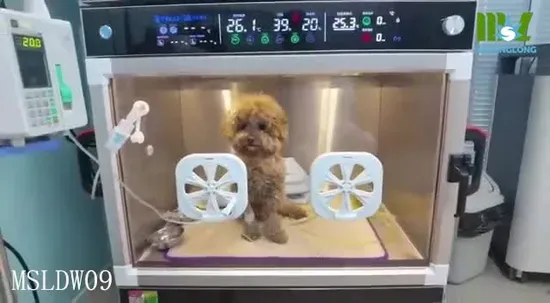 Pet ICU Incubator with Temperature Self-Adaption Adjustment System