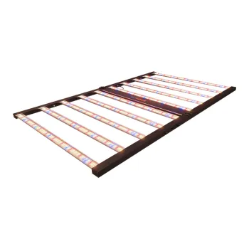 2024 Wholesale 1000W Full Spectrum Dimmable LED Grow Lights for Plants