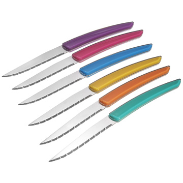 Garwin serrated steak knife with plastic handle