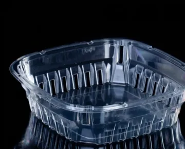 PET Fruit Tray Disposable Fruit Salad Box