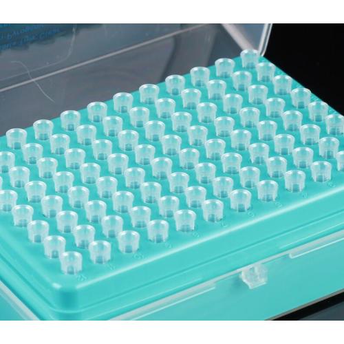 20ul Filter Universal Pipette Tips Racked