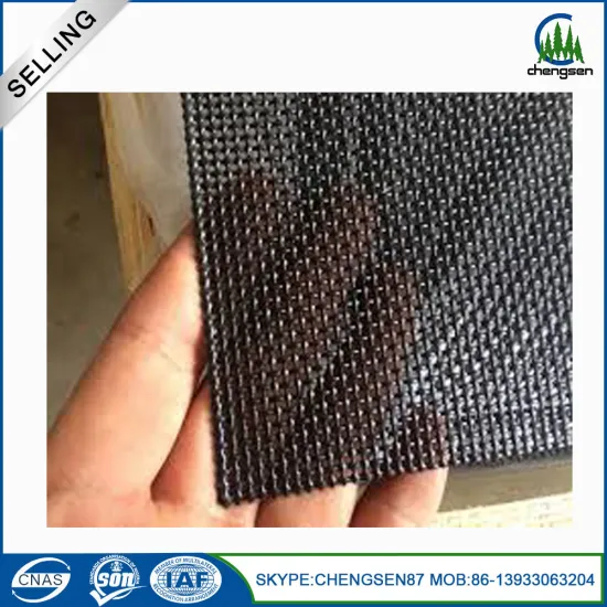 Black 304 stainless steel window screen woven mesh