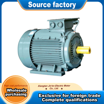 YE4 series three phase induction motor