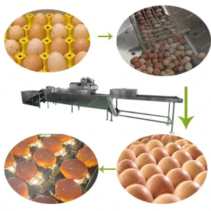 Semi-Automatic Fertilized Chicken and Duck Egg Washer for Farms
