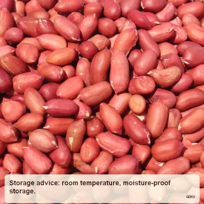 GEKO Food Cheap Wholesale Optimum Nutrition Peanuts for Peanut Oil