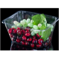 Transparent Plastic Salad Tub Food Container for Costco