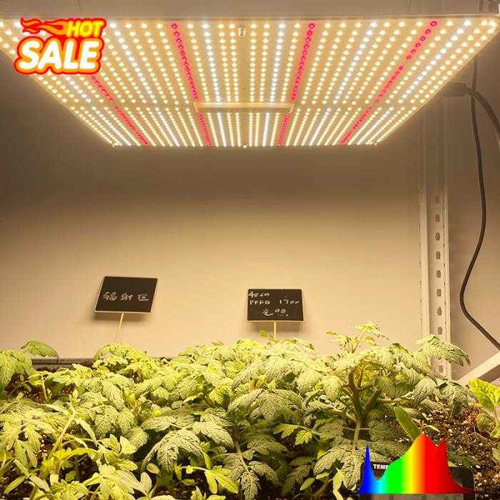 Led Grow Lights For Medical Plants Growing