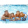 Blue Sports Car Float Adults Inflatable Pool Float