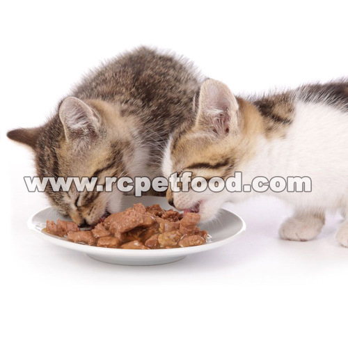 cat food for weight gain
