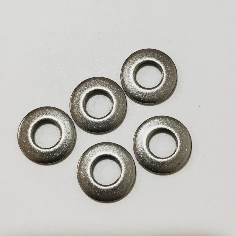 High Quality Ruiqin DIN6796 SS304 Belleville Spring Washer