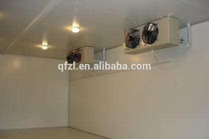 Ice cream cold storage room
