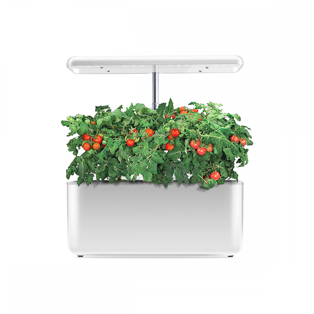 Indoor Intelligent Mini Farm Hydroponic Growing Systems Supplier