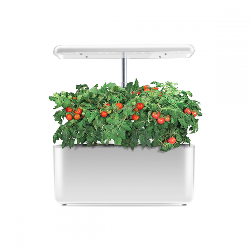 Indoor Intelligent Mini Farm Hydroponic Growing Systems