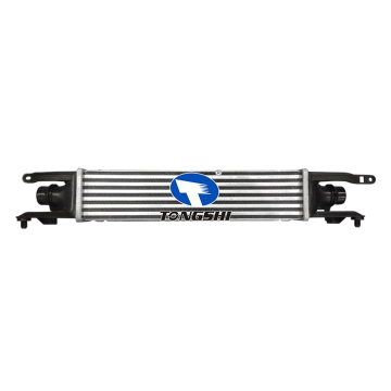 6302078/55702004 OE Replacement Intercooler for Opel Corsa D 1.3 DT1 2006 MT