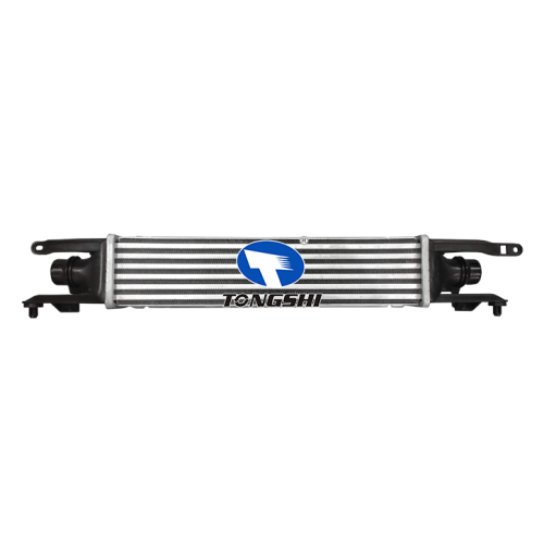 6302078/55702004 OE Replacement Intercooler for Opel Corsa D 1.3 DT1 2006 MT