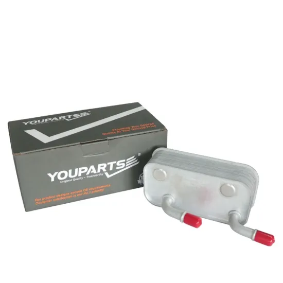 YOUPARTS Transmission Oil Cooler Kit for BMW E46 323Ci/323i/325Ci/325i/325xi/328Ci/330Ci and E92 335i