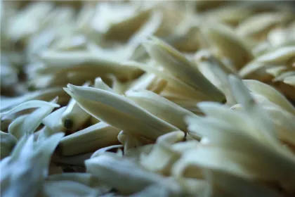 Pure Natural Michelia Alba Flower Oil