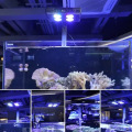 Luz de acuario LED para corales duros peces