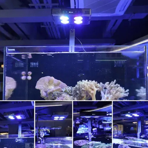 Светодиодный аквариумный свет для жестких кораллов