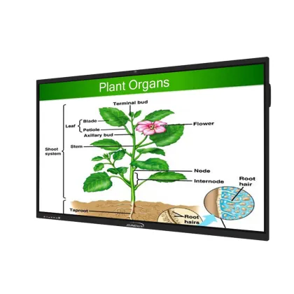 Smart Boards For Schools