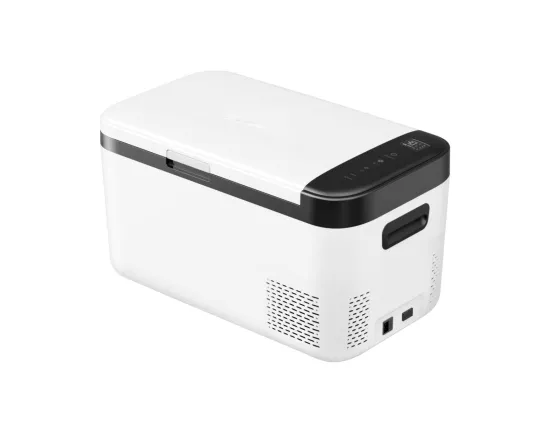 Factory Supply 100-240V Car Refrigerator: 12L-65L Portable Mini Cooler