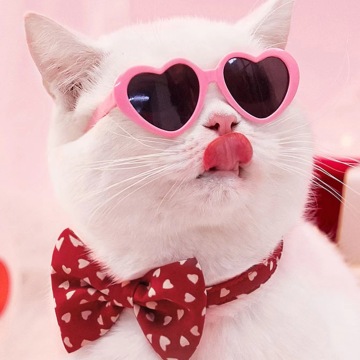 Baby Heart Shape Pet Sunglasses - Toddler Glasses Toy Accessories