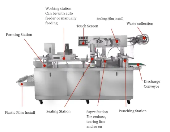 Automatic Blister Packing Machine for Capsule Tablet Milk Candy Chocolate Lollipop Packages