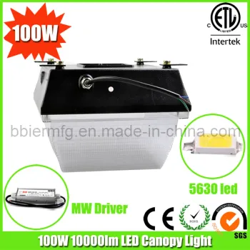 100W High Lumens LED Canopy Lights