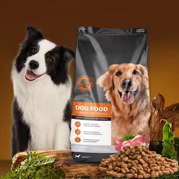 Opções saudáveis ​​para cães com estômagos sensíveis