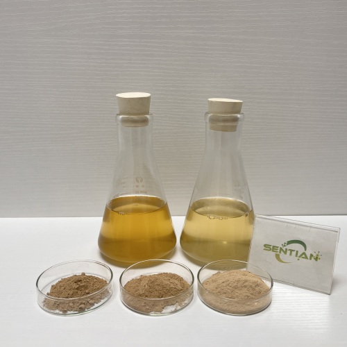 Rennet Enzyme for Cheese and Dairy Processing