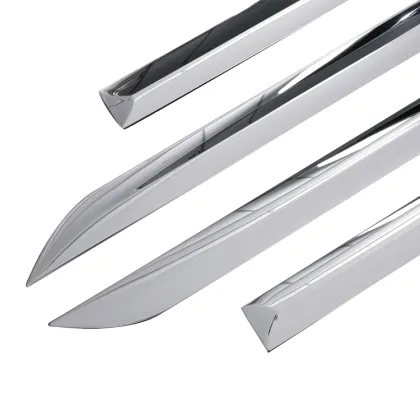 Car Body Side Molding Trim for Mitsubishi Delica D5 (2019)