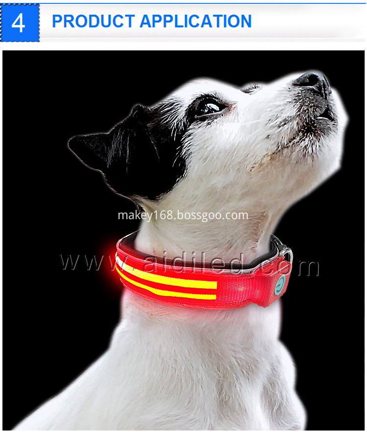 Light-Up Nighttime Pet Collar
