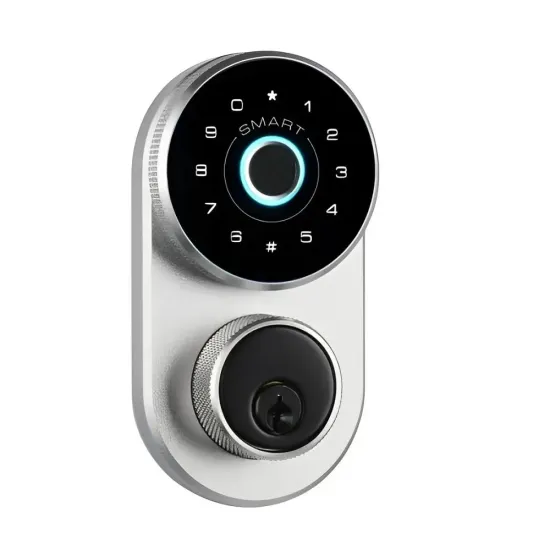 Intelligent Silver Electronic Deadbolt Fingerprint Door Lock