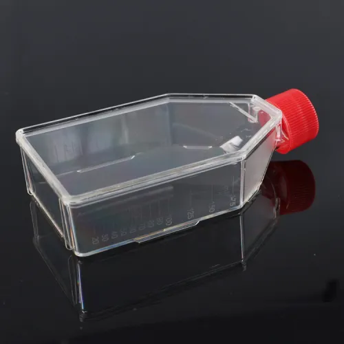 Cell Culture Flask, T25, Surface, High Quality Cell Culture Flask, T25, Surface on
