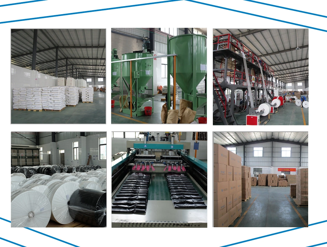 HDPE LDPE Poly Tubing Polythene Layflat Tubing Bubble Wrap Protective Bubble Packaging Film