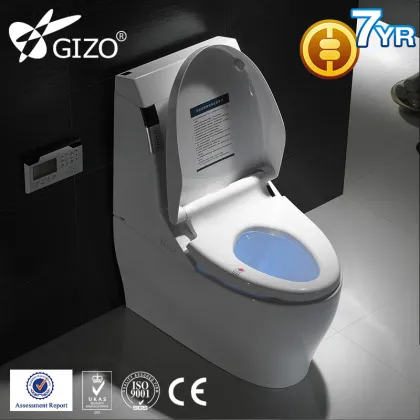 Auto Lid S-trap One Piece Toilet