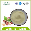 Lycium Berry Fruit Extract Plant extract 98% high purity luteolin powder Manufactory