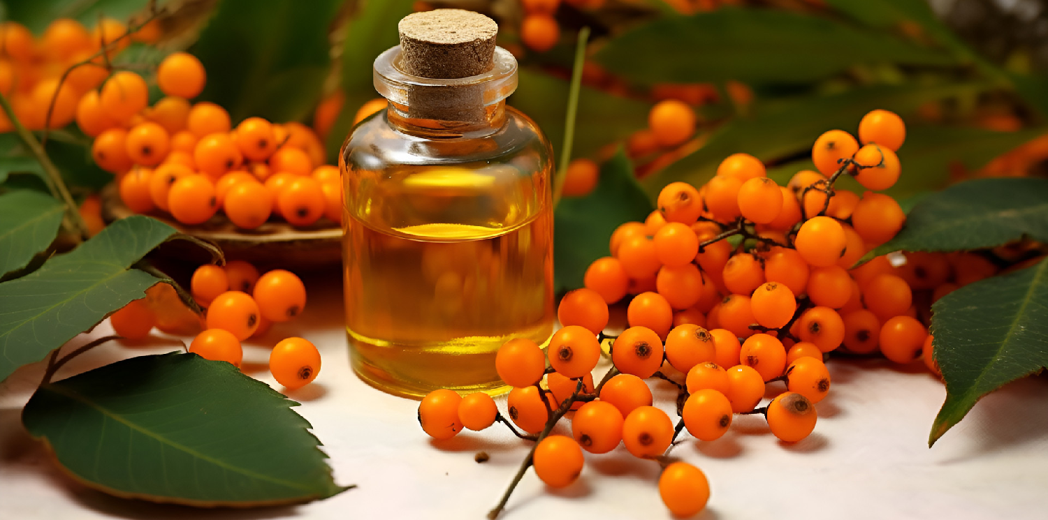 Seabuckthorn-fruit-oil-4