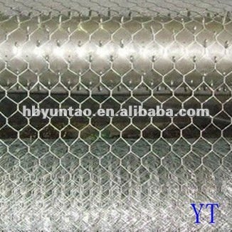 hot dip galvanized hexagonal iron wire mesh