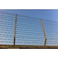 Steel single strand galvanized barbed wire price