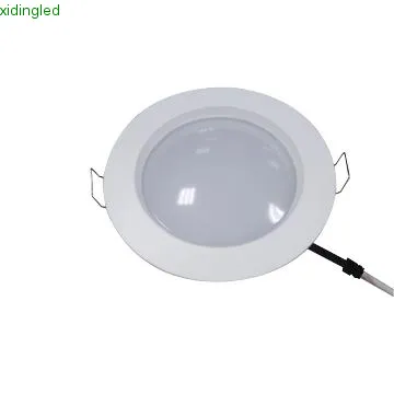 Professional led down light supplier