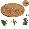 Coco Coir Fiber Tree Rings