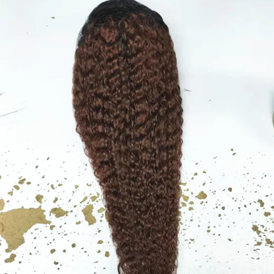 Burmese Curly 1b/30 Dark Brown Vietnam Virgin Cuticle Aligned Hair 360 Lace Wigs Full Lace Natural Honey Brown Wig
