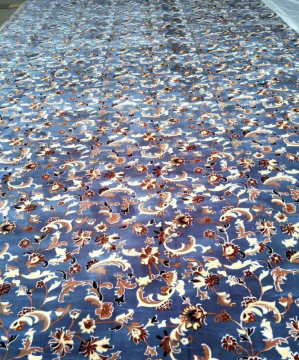 Wall to wall Polyester Carpet