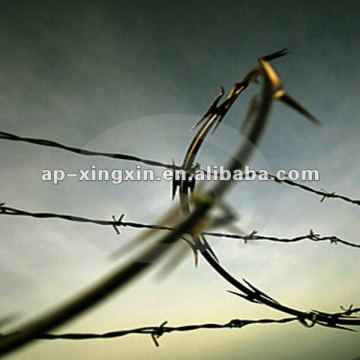 Fine Quality Durable Galvanized Barbed Wire (Factory Audit Supplier)