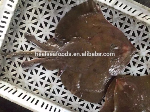 Frozen W/R Skate Fish Stingray Ray Fish 400-600g