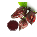 Hibiscus flower extract with many benefits