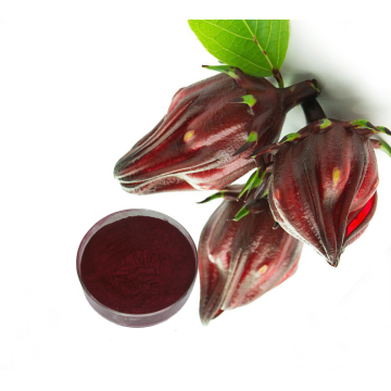 Hibiscus flower extract with many benefits