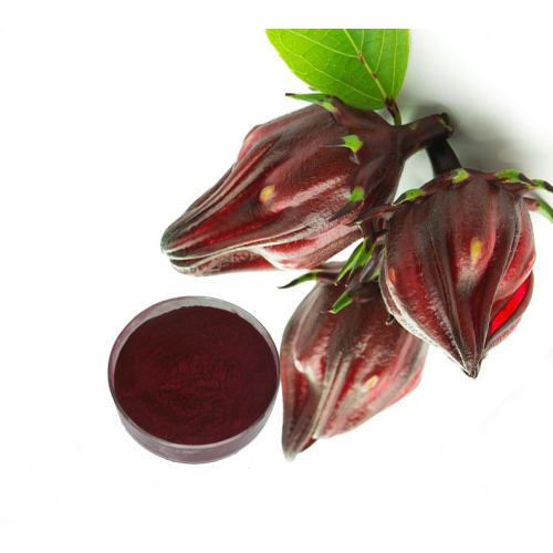 Hibiscus flower extract with many benefits